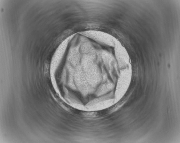 X0000085800281200704131929