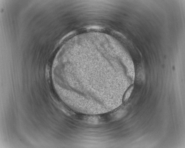 X0000085800282200704131929