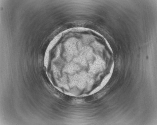 X0000085800283200704131929