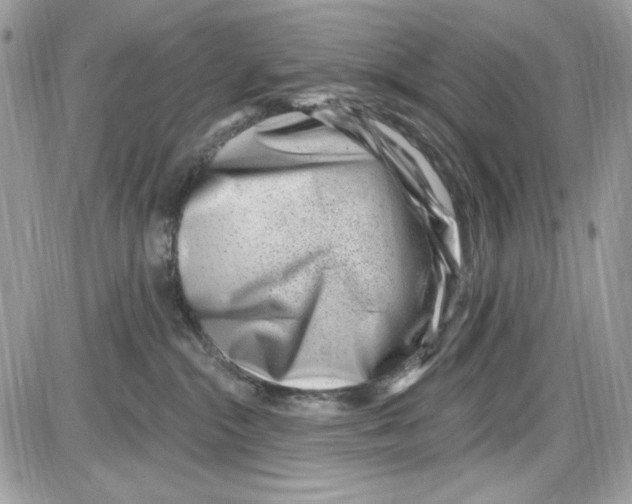 X0000085800284200704131929