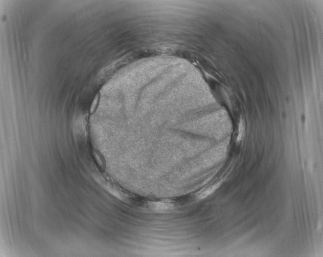 X0000085800286200704131929