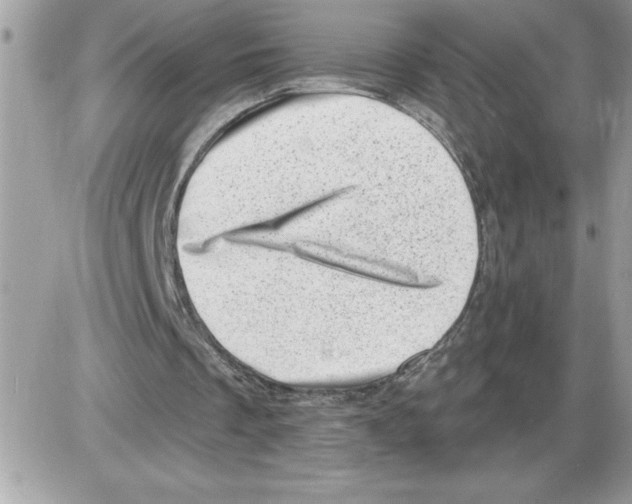 X0000085800289200704131928