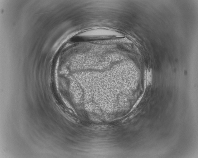 X0000085800291200704131928