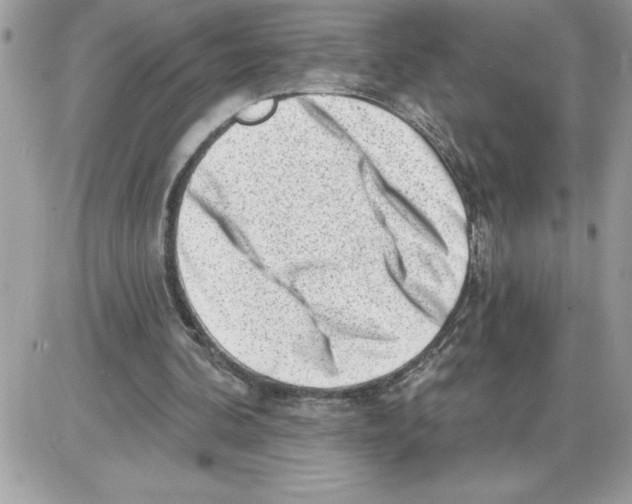 X0000085800292200704131928