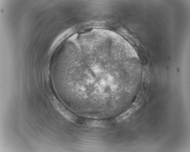 X0000085800293200704131928