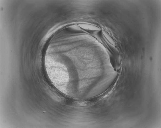 X0000085800295200704131928