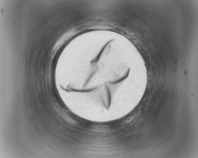 X0000085800296200704131928