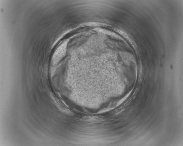 X0000085800297200704131928