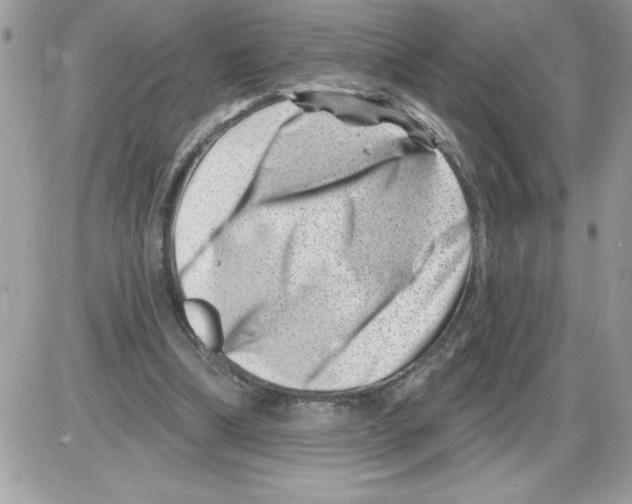 X0000085800298200704131928