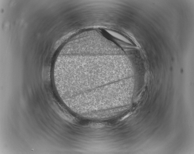 X0000085800299200704131928