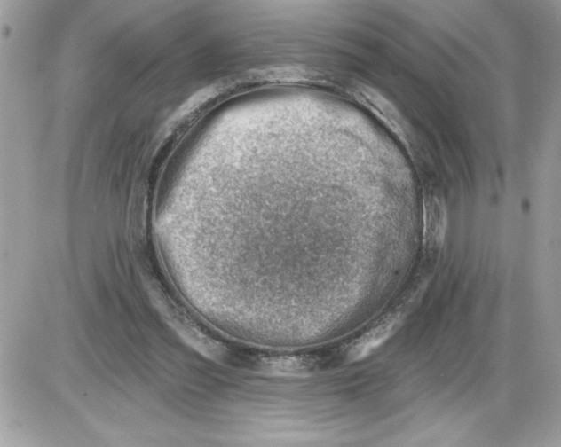 X0000085800301200704131928