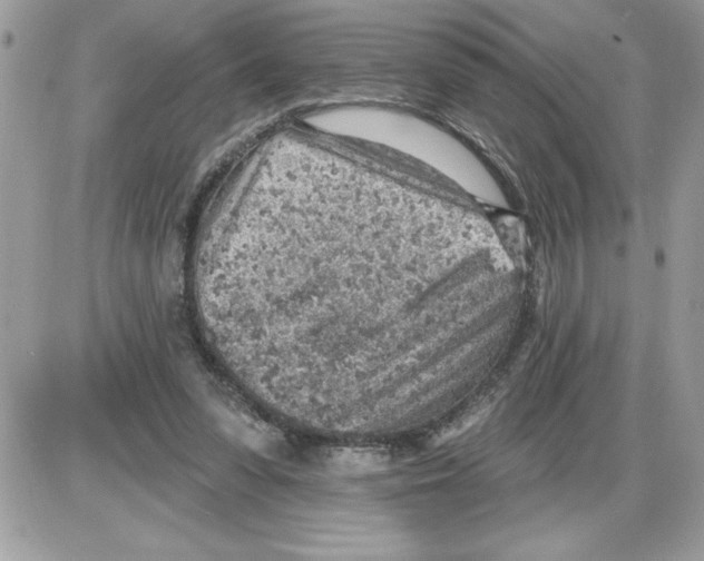 X0000085800303200704131928