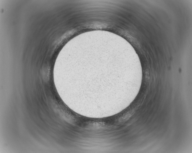 X0000085800304200704131928