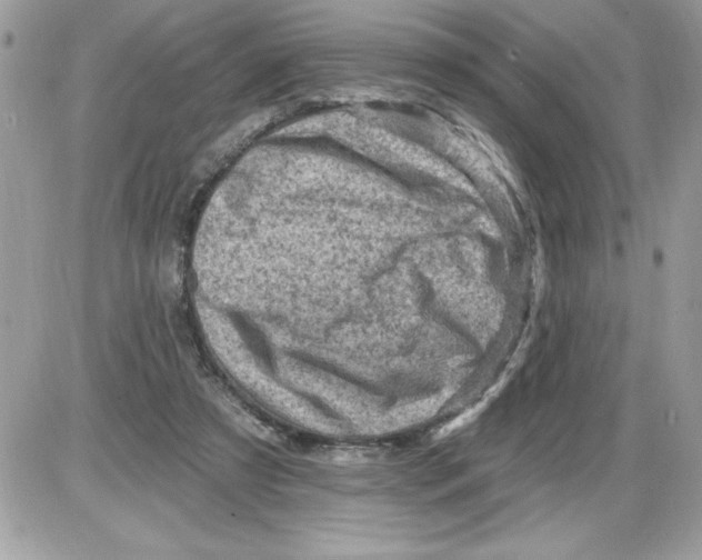 X0000085800305200704131928