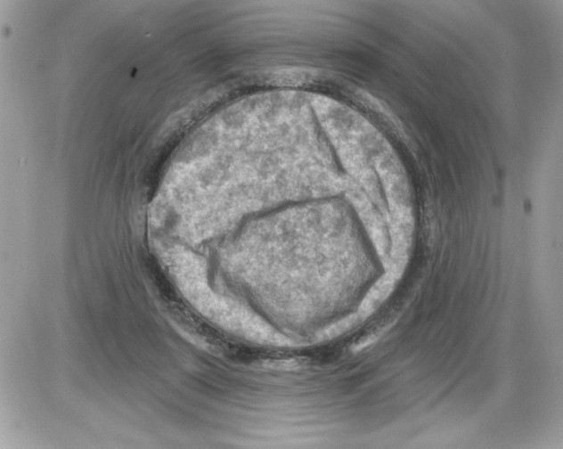 X0000085800307200704131928