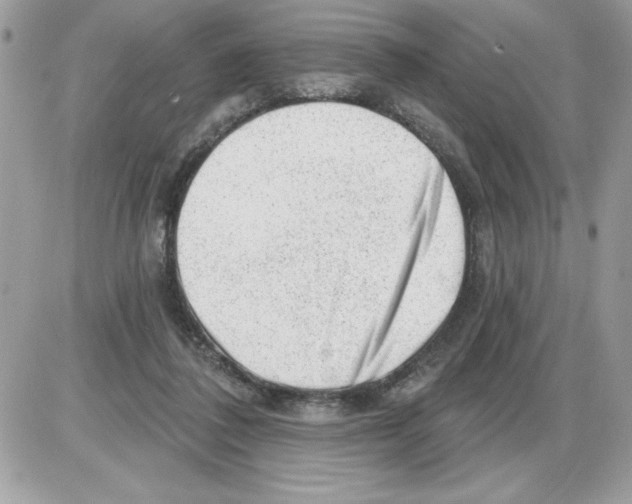 X0000085800308200704131928