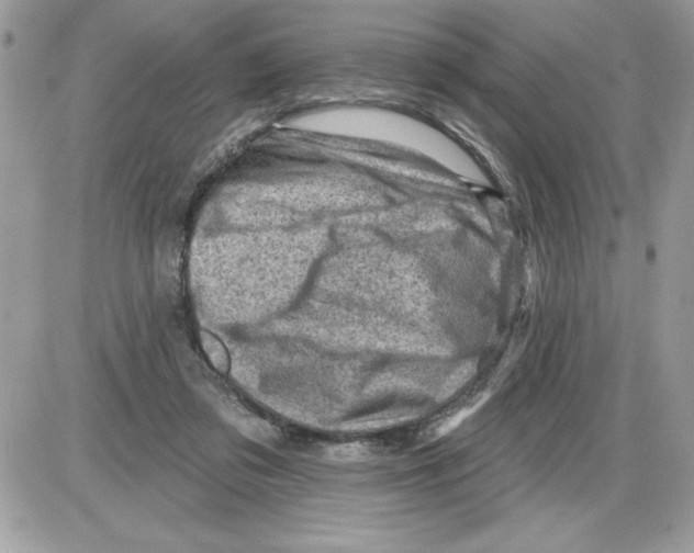 X0000085800309200704131928