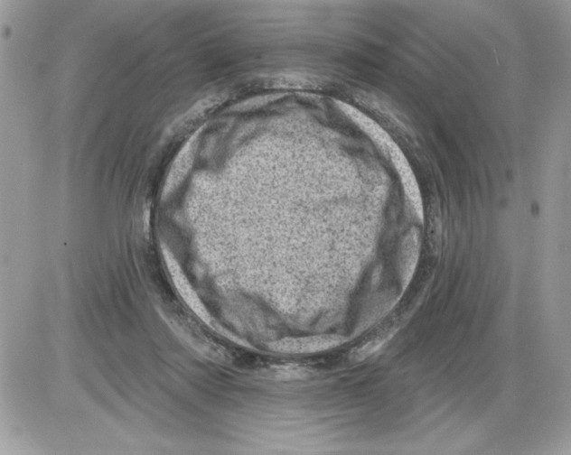 X0000085800310200704131928