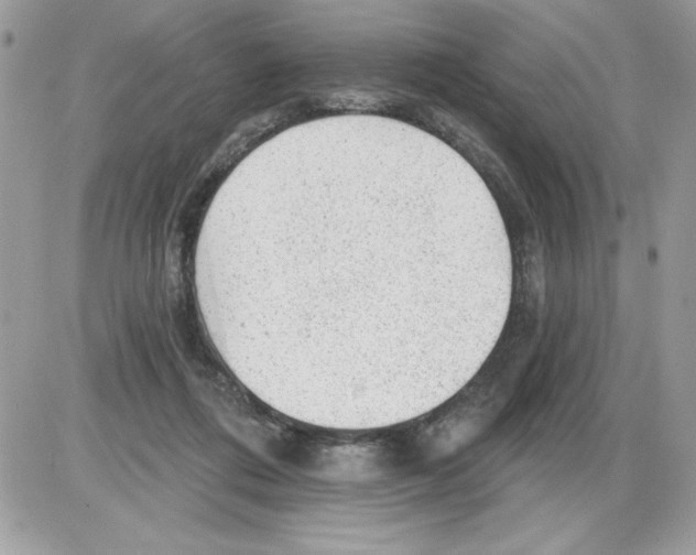 X0000085800312200704131928