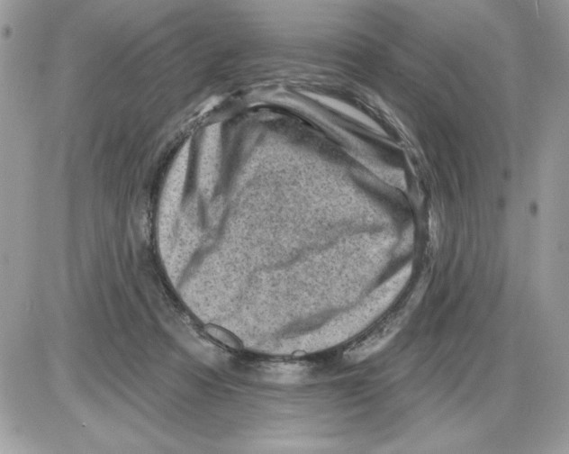 X0000085800313200704131928