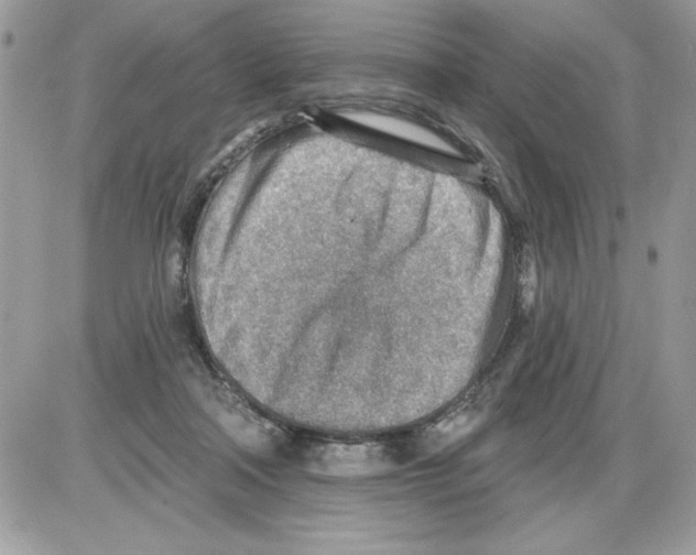 X0000085800314200704131928