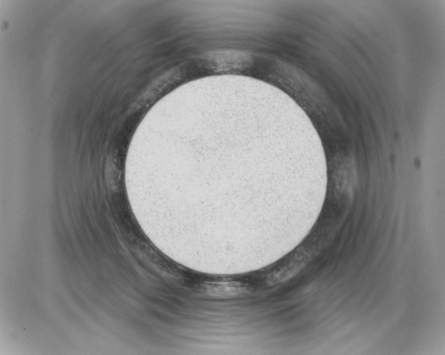 X0000085800316200704131928