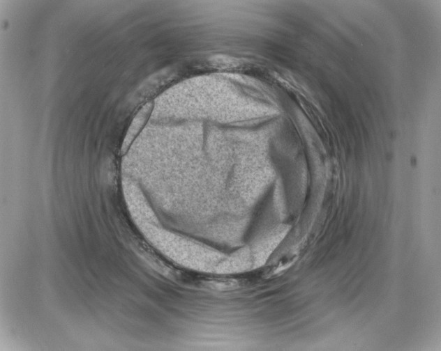 X0000085800317200704131927