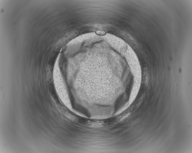 X0000085800318200704131927