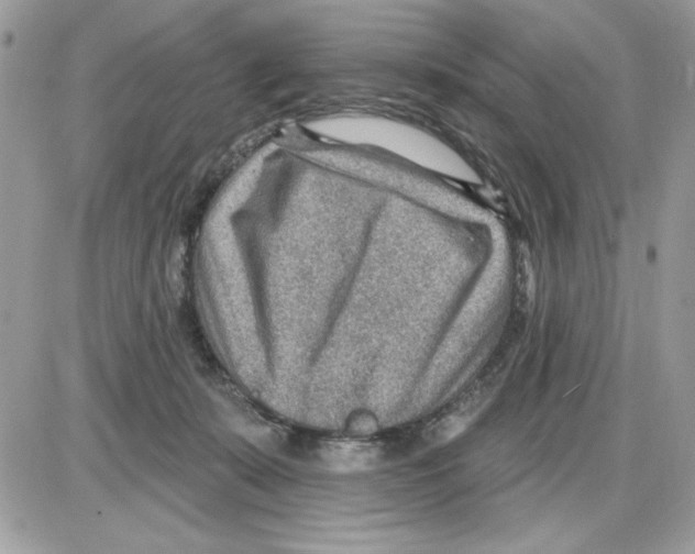 X0000085800319200704131927