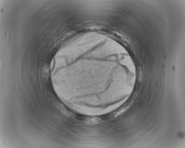 X0000085800321200704131927