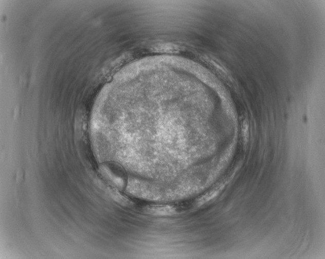 X0000085800322200704131927