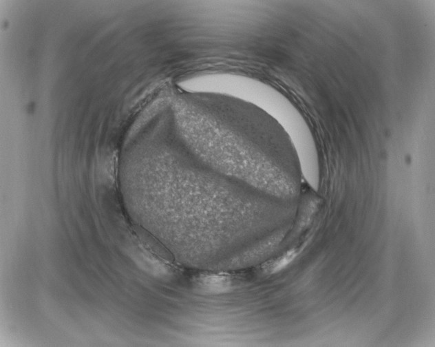 X0000085800325200704131927