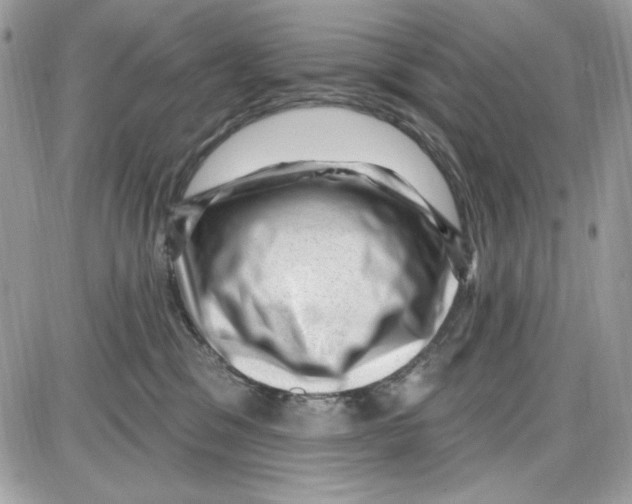 X0000085800329200704131927