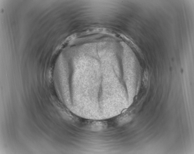 X0000085800330200704131927