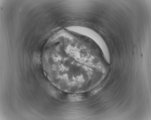 X0000085800331200704131927