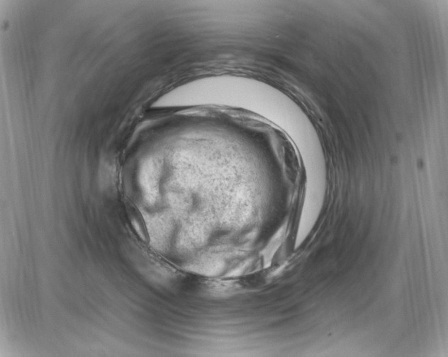 X0000085800333200704131927