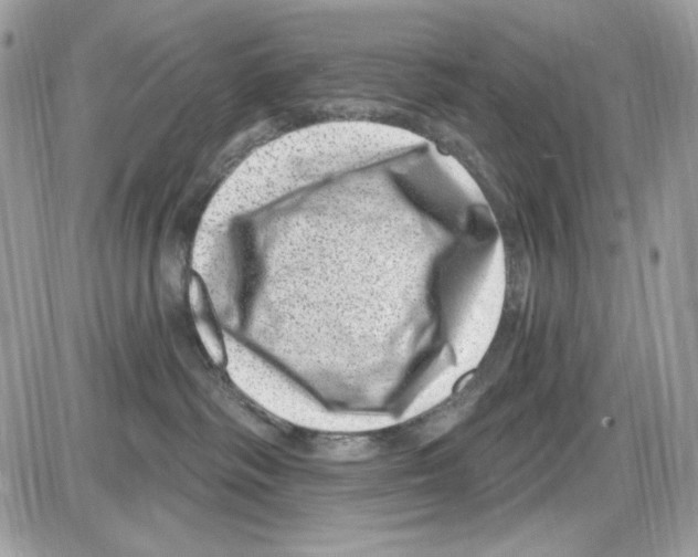 X0000085800334200704131927