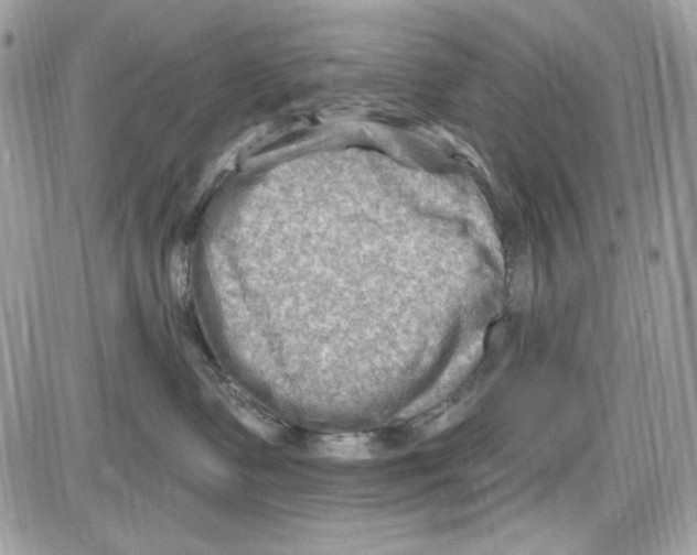 X0000085800335200704131927