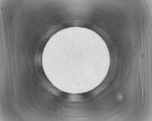 X0000085800336200704131927