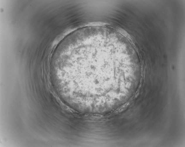 X0000085800337200704131926