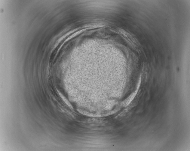 X0000085800338200704131926