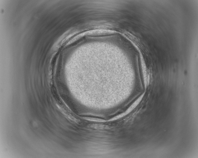 X0000085800339200704131926