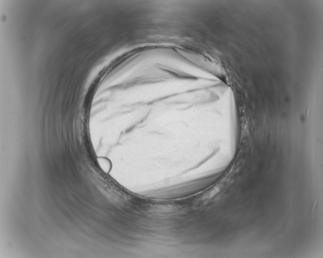 X0000085800342200704131926