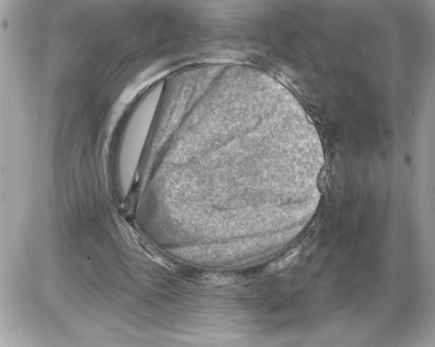 X0000085800343200704131926