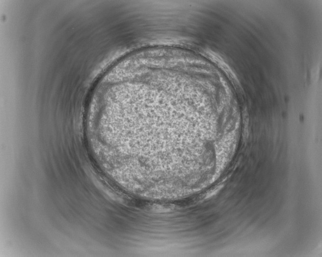 X0000085800346200704131927