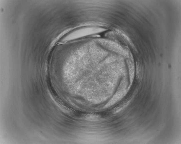 X0000085800348200704131927