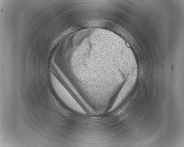 X0000085800353200704131927