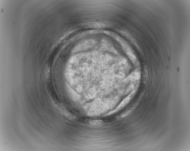 X0000085800355200704131927