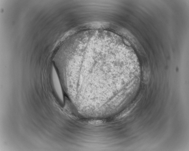 X0000085800357200704131927