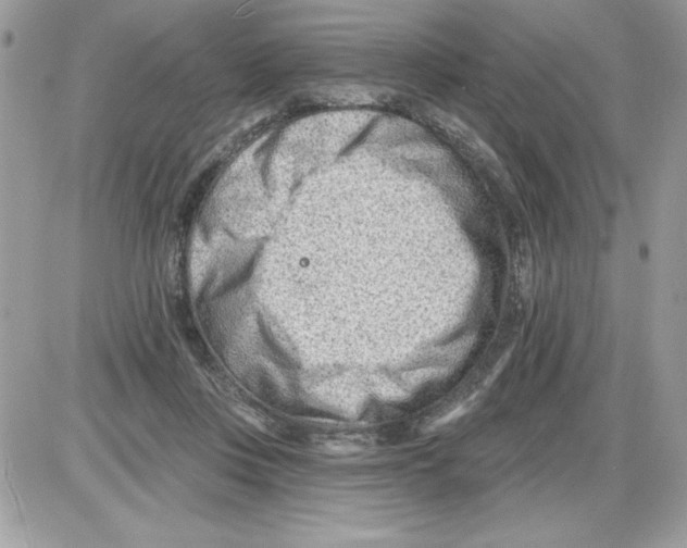 X0000085800359200704131927